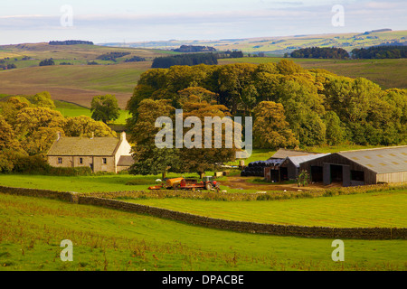 Walltown agriturismo vicino a Vallo di Adriano National Trail, Northumberland England Regno Unito Gran Bretagna Foto Stock