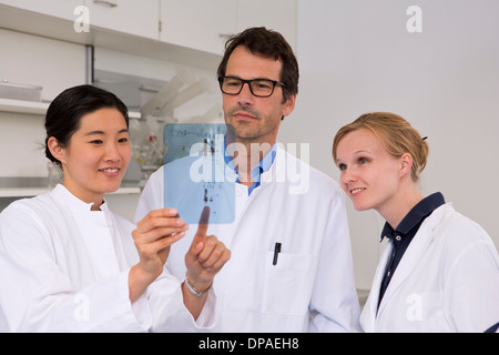 Gruppo di scienziati controllo western blot risultati, l'espressione di proteina Foto Stock