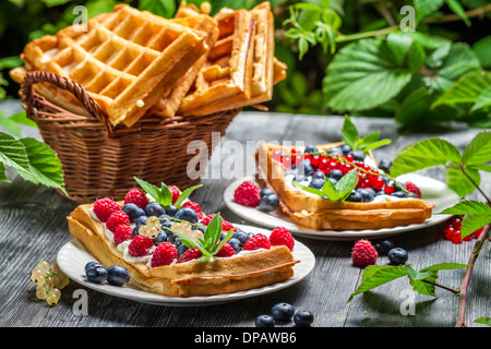 Cialde con raccolti freschi frutti di bosco Foto Stock