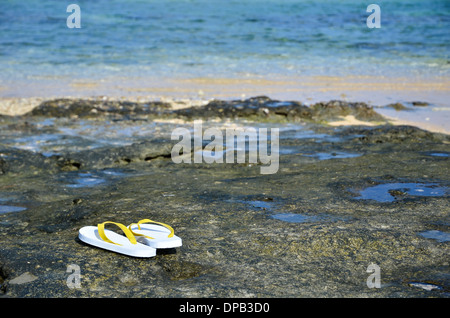 Sandali presso la costa tropicale dell'isola giapponese Iriomote Foto Stock