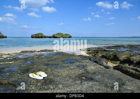 Sandali presso la costa tropicale dell'isola giapponese Iriomote Foto Stock