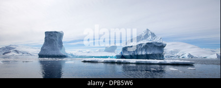 Paesaggio antartico - crociera tra gli iceberg Foto Stock