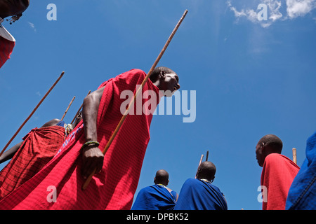 Guerrieri Maasai indossando un tradizionale rosso shuka robe eseguire una sorta di marzo-passato durante la tradizionale cerimonia Eunoto eseguita in una venuta di cerimonia di età per i giovani guerrieri della tribù Masai del Ngorongoro Conservation Area nel cratere Highlands area della Tanzania Africa orientale Foto Stock