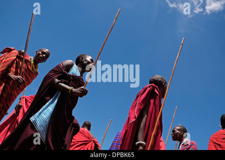 Un gruppo di Guerrieri Maasai eseguire una sorta di marzo-passato durante la tradizionale cerimonia Eunoto eseguita in una venuta di cerimonia di età per i giovani guerrieri della tribù Masai del Ngorongoro Conservation Area nel cratere Highlands area della Tanzania Africa orientale Foto Stock