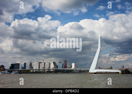 Skyline della città di Rotterdam, Ponte Erasmus (Olandese: Erasmusbrug) oltre Niewe fiume Maas in South Holland, Paesi Bassi. Foto Stock