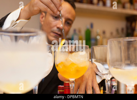 Preparare e provare vari cocktail tonici e gin. Foto Stock
