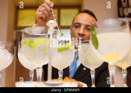 Preparare e provare vari cocktail tonici e gin. Foto Stock