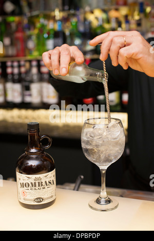Preparare e provare vari cocktail tonici e gin. Foto Stock