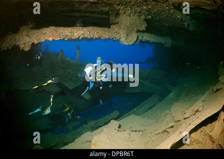 Sommozzatore guardando naufragio 'SS Dunraven'. Mar Rosso, Egitto, Africa Foto Stock