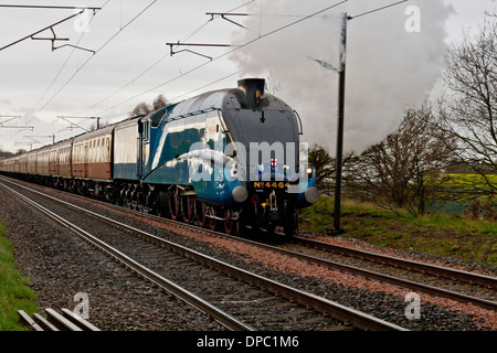 Un LNER4 Class locomotiva a vapore tarabuso Foto Stock