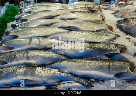Salmone King su ghiaccio ad un pesce monger di stallo del mercato Pike Place Market di Seattle, Washington, Stati Uniti d'America Foto Stock