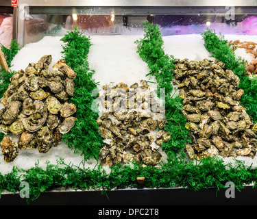 Visualizzazione delle ostriche fresche su ghiaccio in un contenitore refrigerato ad una pressione di stallo di Mercato Pike Place Market di Seattle, Washington, Stati Uniti d'America Foto Stock