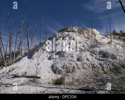 Nuovo Highland Terrazza di Mammoth Hot Springs, il Parco Nazionale di Yellowstone, Wyoming USA Foto Stock