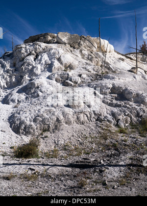 Nuovo Highland Terrazza di Mammoth Hot Springs, il Parco Nazionale di Yellowstone, Wyoming USA Foto Stock