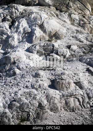 Nuovo Highland Terrazza di Mammoth Hot Springs, il Parco Nazionale di Yellowstone, Wyoming USA Foto Stock