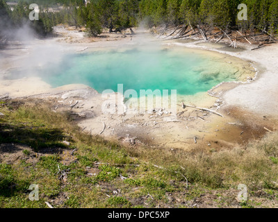Molla di smeraldo in Norris Geyser Basin,il Parco Nazionale di Yellowstone, Wyoming USA Foto Stock
