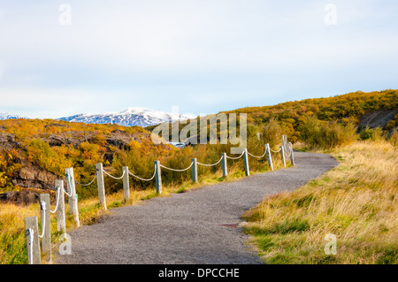 Paesaggio islandese con il ghiacciaio in background Foto Stock