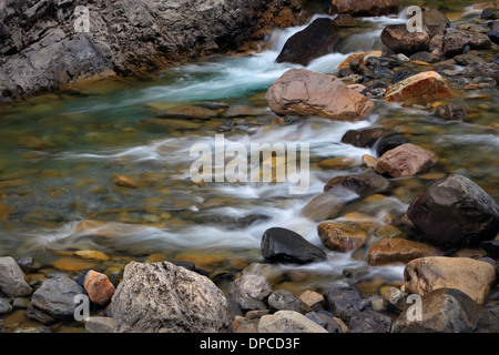 Flussi di acqua attraverso il Cano de Anisclo nella regione di Aragona di Spagna Foto Stock