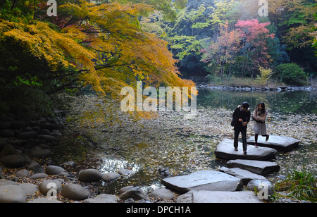 Tokyo University di Sanshiro ike giardino. Foto Stock