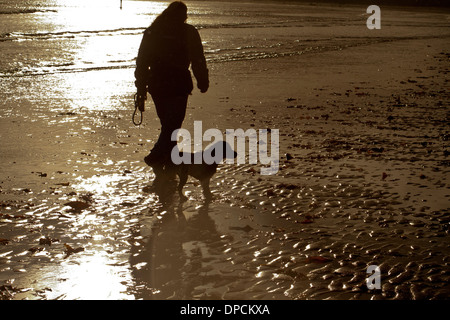 Cocker Spaniel cucciolo passeggiate sulla spiaggia con il proprietario Foto Stock