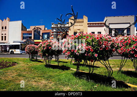 Ballarat Australia / decorazioni di Natale sul display in Sturt Street. Foto Stock