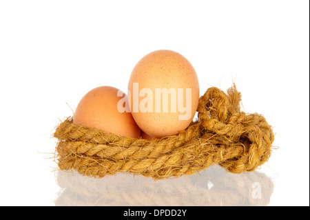 Due uova di pollo in una corda di sisal bird nest isolato in bianco Foto Stock