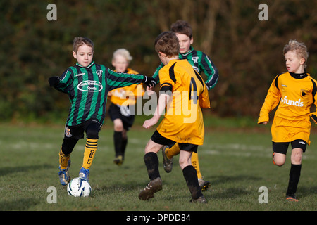 Hartley Wintney falchi junior team di calcio (giallo) play Curley Park Rangers in gioventù una partita di calcio in Hampshire 14-12-13 Foto Stock