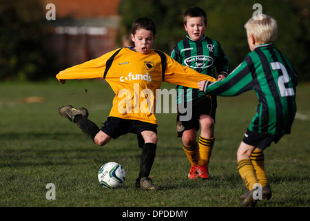 Hartley Wintney falchi junior team di calcio (giallo) play Curley Park Rangers in gioventù una partita di calcio in Hampshire 14-12-13 Foto Stock