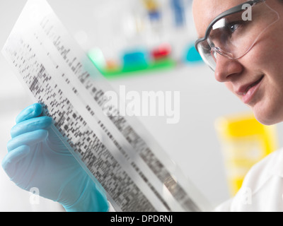 Scienziato holding autoradiogramma di DNA in laboratorio Foto Stock