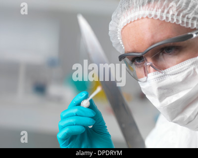 Lo scienziato forense nel laboratorio di assunzione di prove del DNA con un bastoncino di cotone per l'investigazione di reati Foto Stock