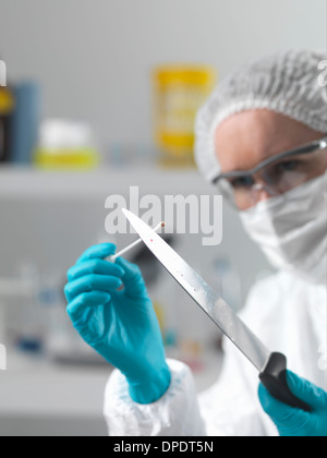 Lo scienziato forense nel laboratorio di assunzione di prove del DNA con un bastoncino di cotone per l'investigazione di reati Foto Stock