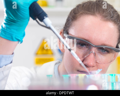 Scienziato il pipettaggio di campione in una provetta eppendorf flaconcino in laboratorio Foto Stock