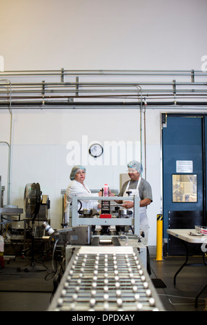 Lavoratori in fabbrica sulla linea di produzione Foto Stock