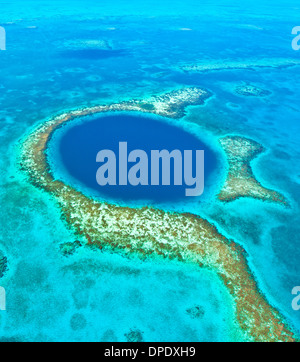 Il Blue Hole Buco Blu monumento nazionale, il Belize Mar dei Caraibi Meso-American Reef Lighthouse Reef Atoll 400 piedi il foro nel reef Foto Stock