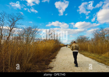 A sud di Merrick, New York, Stati Uniti Il 12 gennaio 2014. Gli uomini a piedi su una palude percorsi a Norman J Levy Park e preservare durante il mite inverno meteo. La collina è il punto più alto della riva sud di Long Island. Credito: Ann e Parry/Alamy Live News Foto Stock