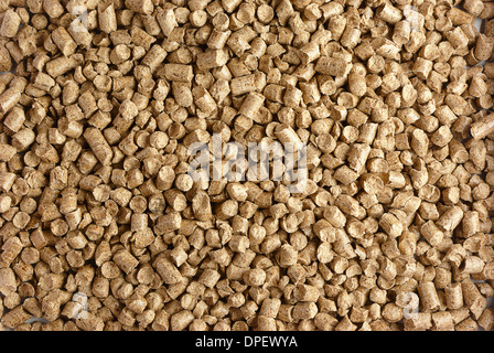 Close-up di piccoli pellet di legno Foto Stock