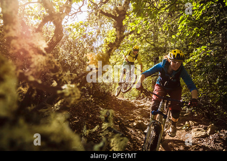 Coppia giovane mountain bike, Soquel dimostrazione la foresta di stato di Santa Cruz, California, Stati Uniti d'America Foto Stock