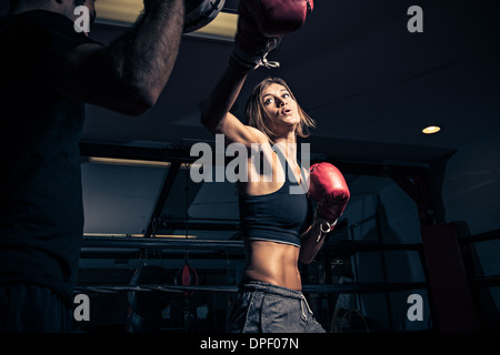 Boxer femmina la punzonatura dell'istruttore scudo punzone Foto Stock