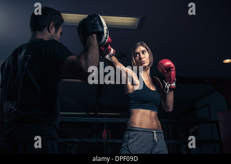 Boxer femmina la punzonatura dell'istruttore scudo punzone Foto Stock