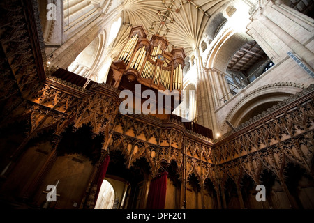 Cattedrale di Norwich Norfolk Foto Stock