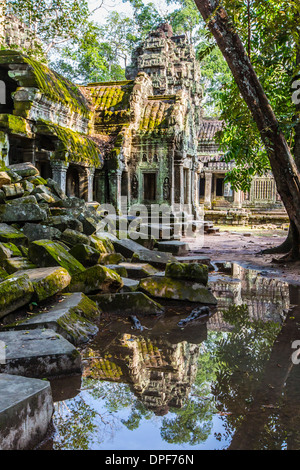 Riflessioni a Ta Prohm Temple (Rajavihara), Angkor, Sito Patrimonio Mondiale dell'UNESCO, Siem Reap Provincia, Cambogia Foto Stock