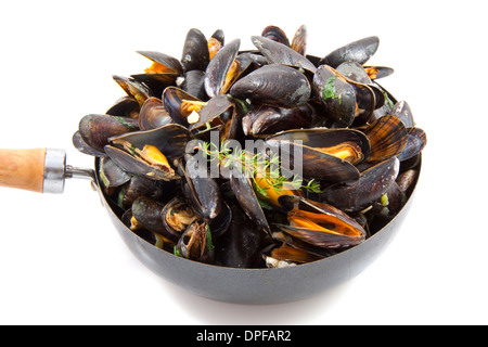 Cozze fresche in padella con erbe aromatiche isolato su bianco Foto Stock