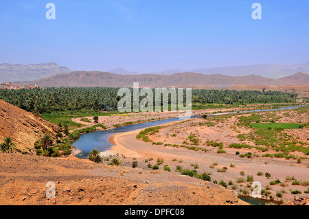 Il paesaggio della Valle di Draa, a sud di Ouarzazate e Agdz nel sud del Marocco, Africa Settentrionale, Africa Foto Stock