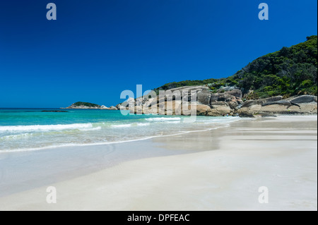 Graziosa spiaggia normanna in Wilsons Promontory National Park, Victoria, Australia Pacific Foto Stock