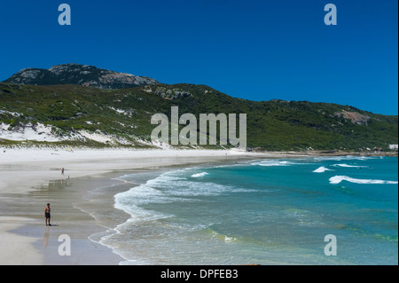 Graziosa spiaggia normanna in Wilsons Promontory National Park, Victoria Foto Stock