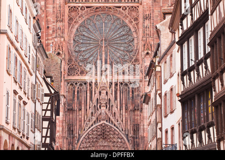 Rue Merciere e Cattedrale di Strasburgo, Strasburgo, Bas-Rhin, Alsazia, Francia, Europa Foto Stock