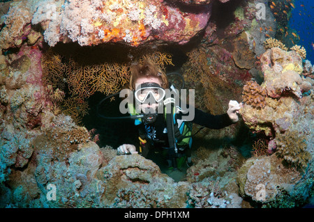 Sommozzatore in grotta. Ras Mohammed Parco Nazionale, la penisola del Sinai, Sharm el-Sheikh, Mar Rosso, Egitto, Africa Foto Stock