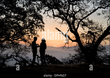 Giovane godendo lo scenario in Mendocino County, California Foto Stock