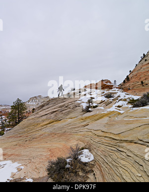 Lungo Sion Mt. Carmel Highway, il Parco Nazionale di Zion, Utah, Stati Uniti d'America Foto Stock