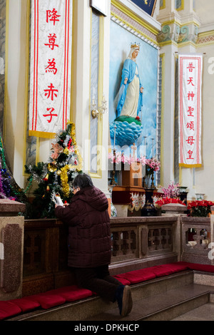 I discepoli sono in preghiera nella Cattedrale di San Giuseppe,Tianjin Foto Stock